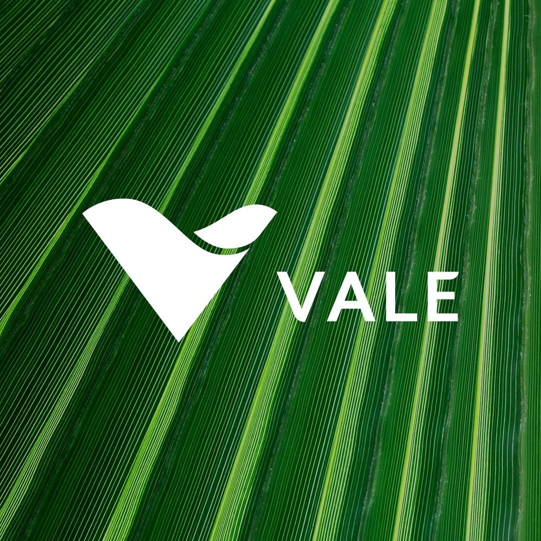 Vale no Brasil